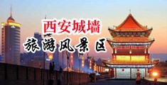 女人粉嫩的小穴性爱一级免费视频中国陕西-西安城墙旅游风景区